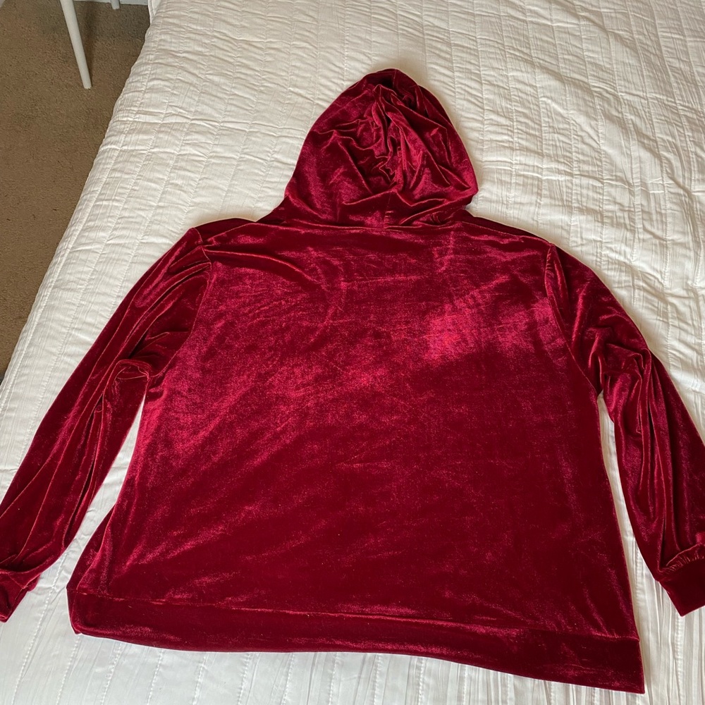 Velvet Sweatsuit Set - Picture 5 of 6
